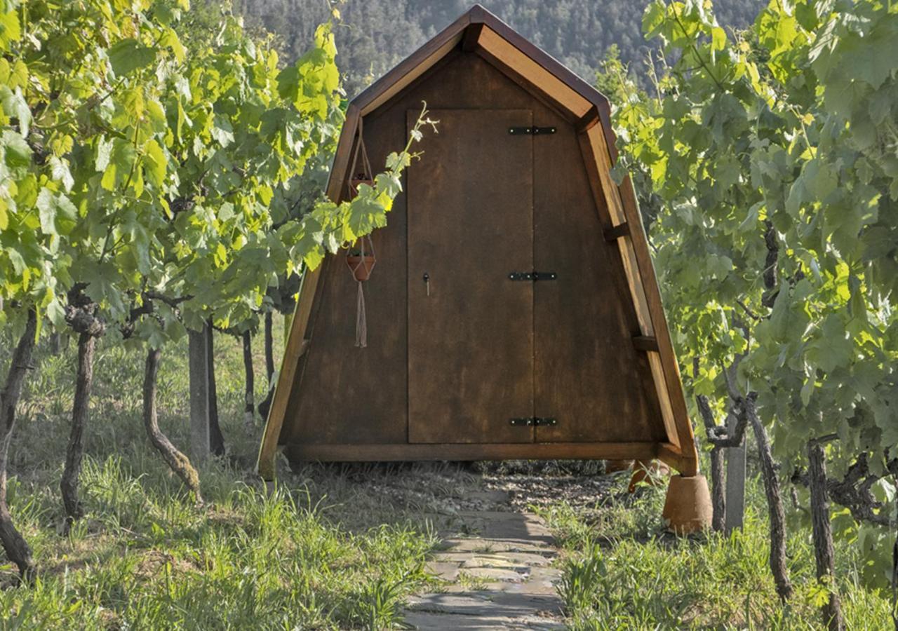 Cimo Da Vinha - Nature Spot Castelo de Paiva Ngoại thất bức ảnh